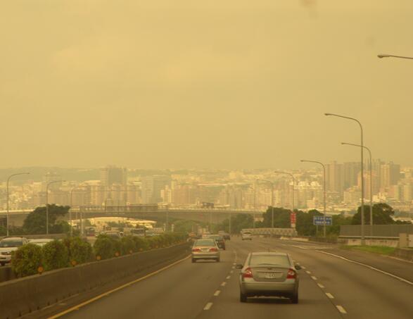 ����ɳ��������ʲô��� ɳ��������5��ʳ���峾���